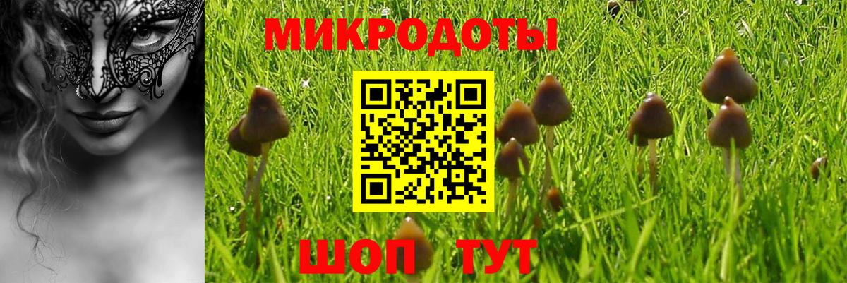 Карпинск  Галлюциногенные грибы Cubensis  Вход с VPN  Галлюциногенные грибы прущие грибы 